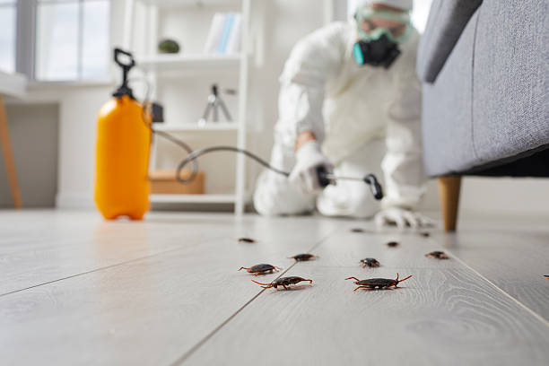 Post-Treatment Bed Bug Interceptor Monitoring in New Castle Northwest