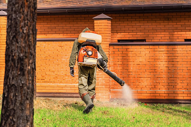 Bed Bug Clearance Verification and Documentation in New Castle Northwest